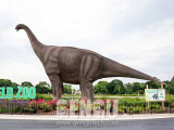 Animatronic Dinosaur Ruyangosaurus_AD_575_